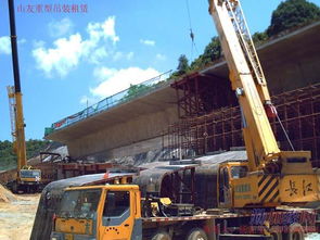 山友吊裝運(yùn)輸公司實(shí)力解析 深圳貨柜吊裝裝卸與滁州運(yùn)輸服務(wù)